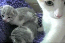 Episode 7: 3 weeks old