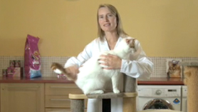 Whiskas feline expert