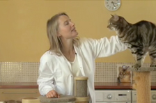 Episode 2: Is your cat overweight?