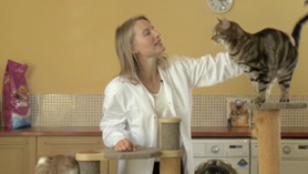 Whiskas feline expert