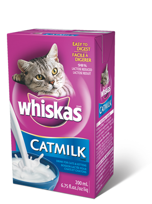 catmilk-3d.png